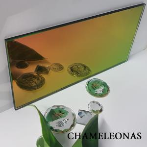 04-chamelionas1.jpg